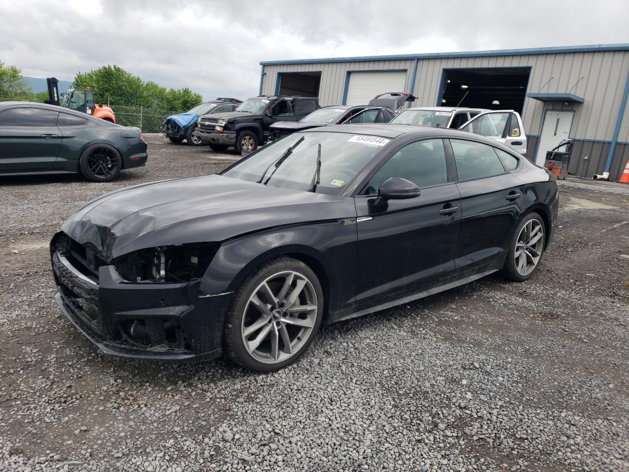 AUDI A5 2019 wauencf53ka069710