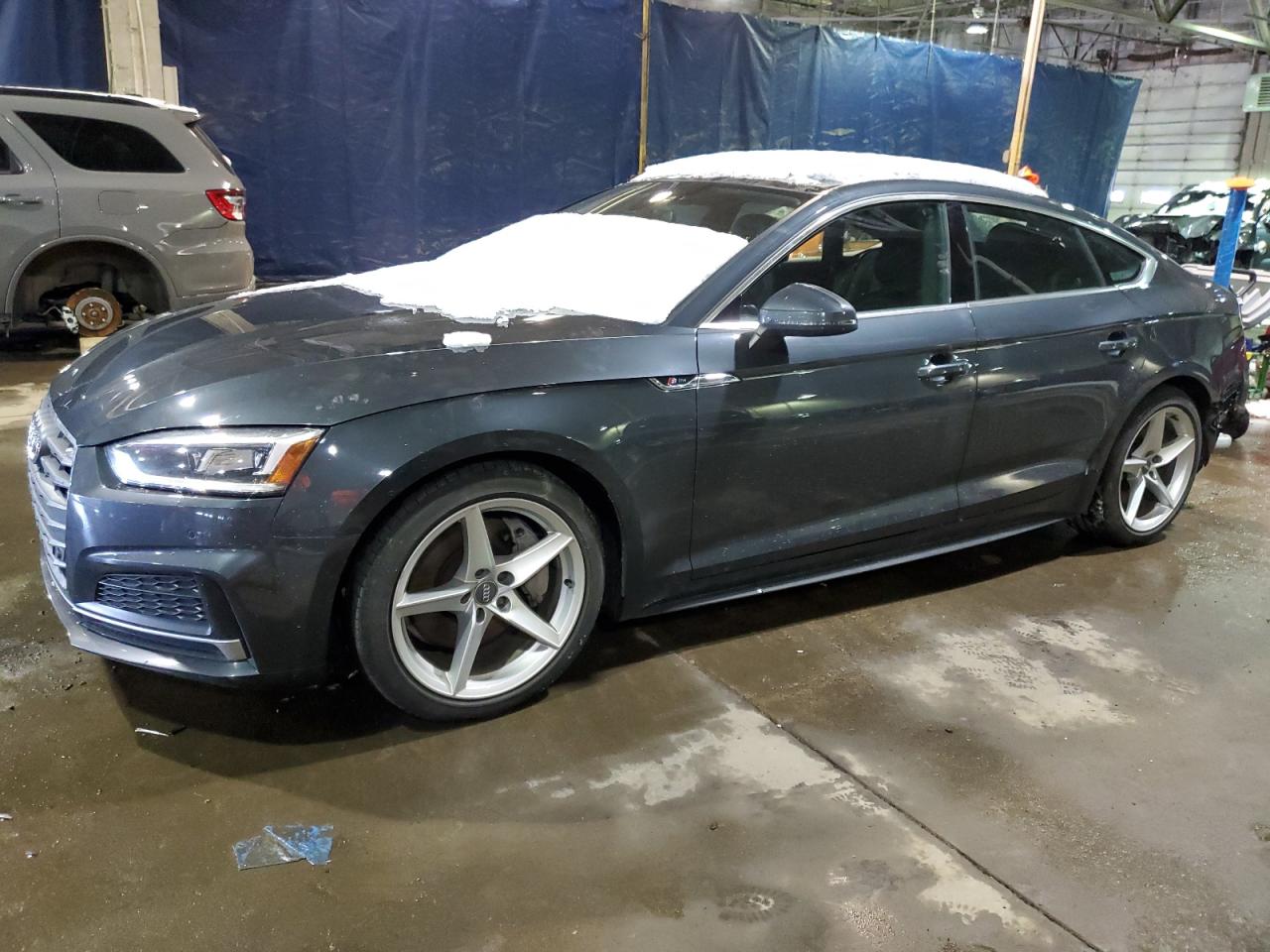 AUDI A5 2018 wauencf55ja055712