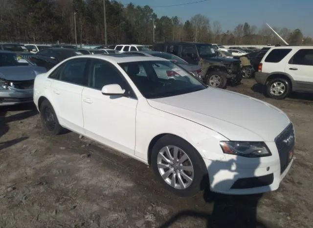 AUDI A4 2010 wauffafl0an013882