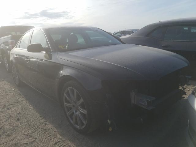 AUDI A4 PREMIUM 2010 wauffafl0an029502