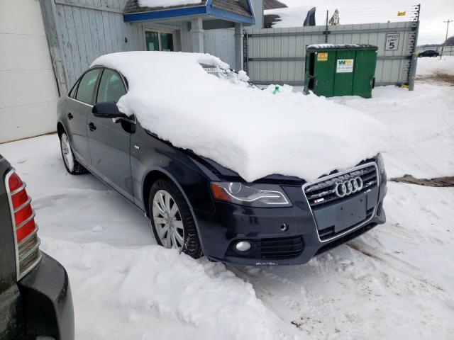 AUDI A4 PREMIUM 2010 wauffafl0an035591