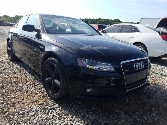 AUDI A4 PREMIUM 2010 wauffafl0an037048