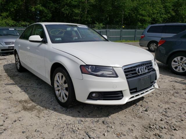 AUDI A4 PREMIUM 2010 wauffafl0an061365