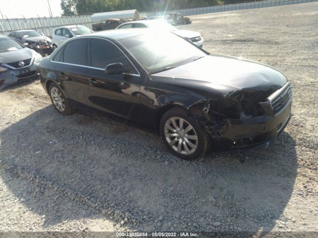 AUDI A4 2011 wauffafl0bn005685