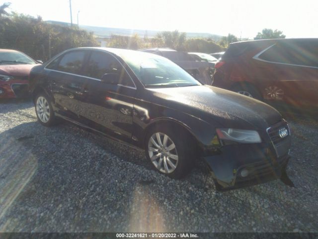 AUDI A4 2011 wauffafl0bn033776