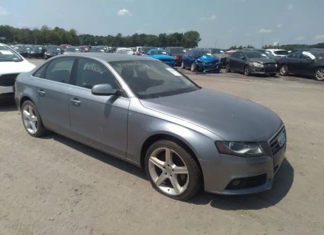 AUDI A4 2010 wauffafl1aa045151