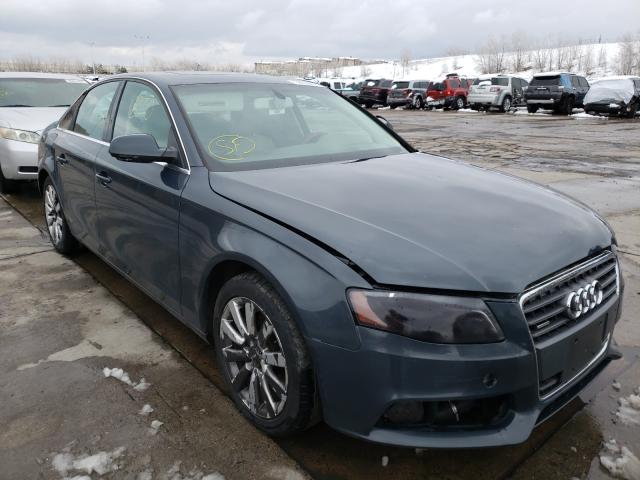 AUDI A4 PREMIUM 2010 wauffafl1an010957