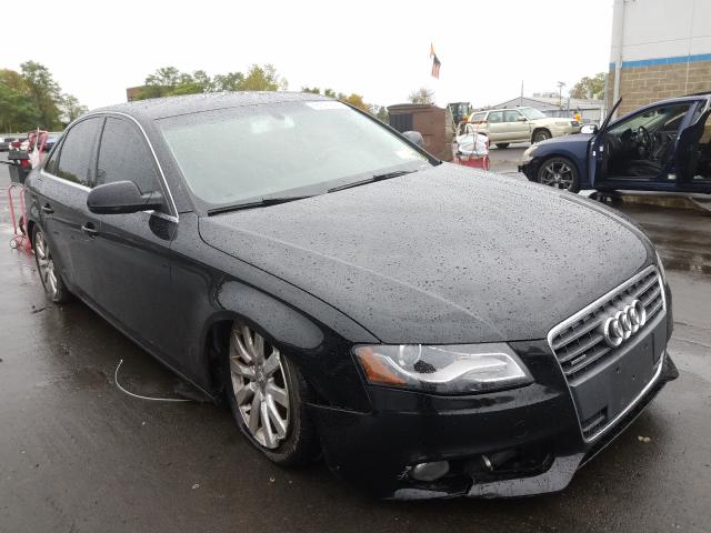 AUDI A4 PREMIUM 2010 wauffafl1an026608