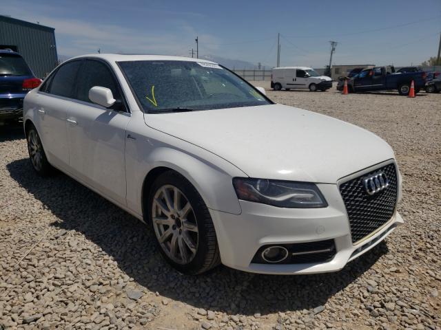 AUDI A4 PREMIUM 2010 wauffafl1an055347