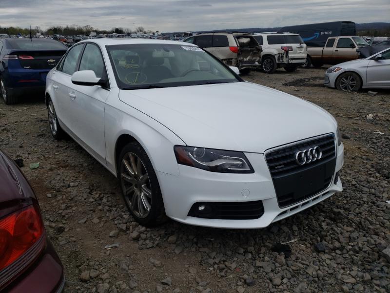 AUDI A4 PREMIUM 2010 wauffafl1an059642