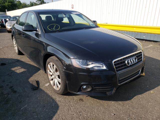 AUDI A4 PREMIUM 2011 wauffafl1bn007896