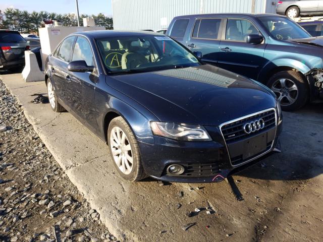 AUDI A4 PREMIUM 2011 wauffafl1bn048691