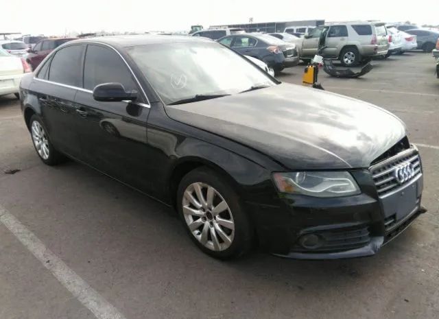 AUDI A4 2010 wauffafl2aa049533