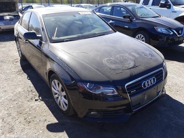 AUDI A4 PREMIUM 2010 wauffafl2an016993