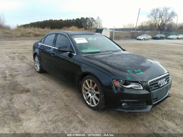 AUDI A4 2010 wauffafl2an018257