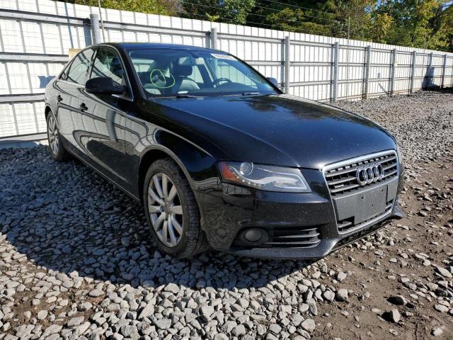 AUDI A4 PREMIUM 2010 wauffafl2an020011