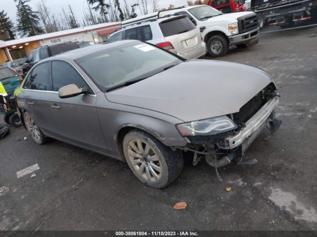 AUDI A4 2010 wauffafl2an028643