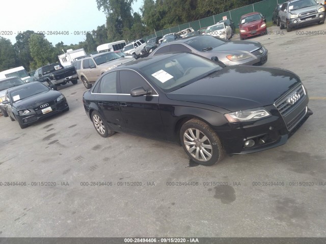 AUDI A4 2010 wauffafl2an047645