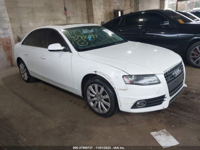 AUDI A4 2010 wauffafl2an055311