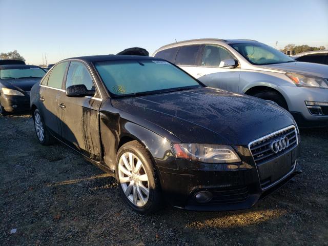 AUDI A4 PREMIUM 2010 wauffafl2an065627