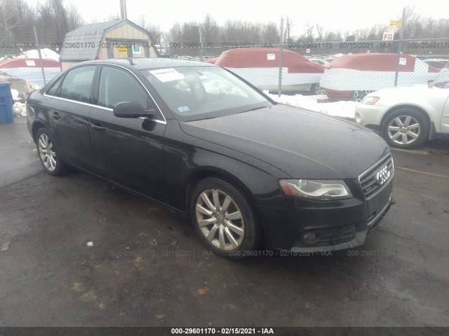 AUDI A4 2010 wauffafl2an067829