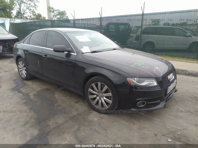 AUDI A4 2010 wauffafl2an068785