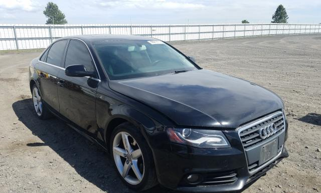 AUDI A4 2010 wauffafl3an025010