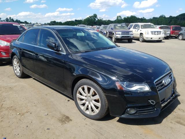 AUDI A4 PREMIUM 2010 wauffafl3an029686