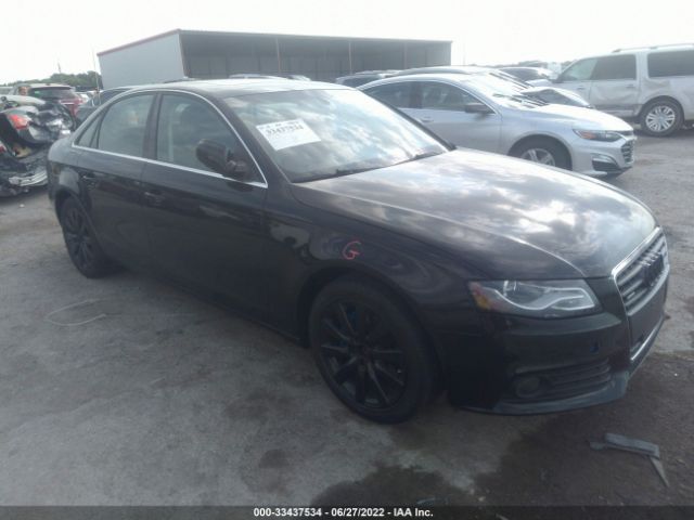 AUDI A4 2010 wauffafl3an047833