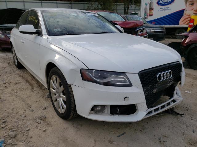 AUDI A4 PREMIUM 2010 wauffafl3an048982