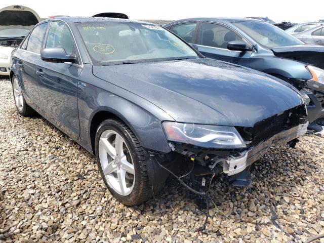 AUDI A4 PREMIUM 2010 wauffafl3an050876