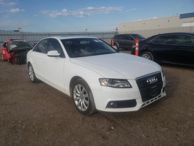 AUDI A4 PREMIUM 2010 wauffafl3an055768