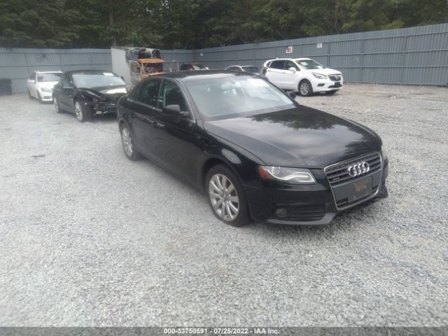 AUDI A4 2011 wauffafl3bn004482