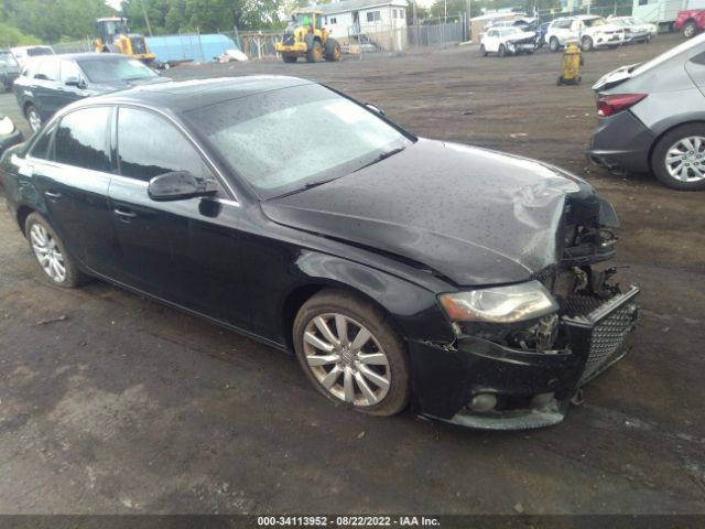 AUDI A4 2011 wauffafl3bn004529