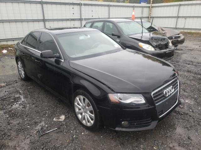 AUDI A4 PREMIUM 2011 wauffafl3bn044920