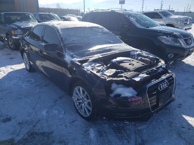 AUDI A4 PREMIUM 2016 wauffafl3gn014548