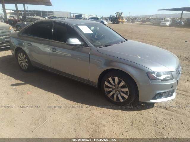 AUDI A4 2010 wauffafl4an026733