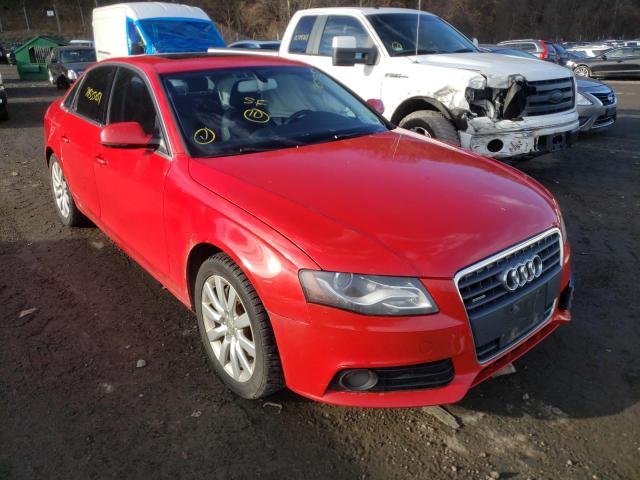 AUDI A4 PREMIUM 2010 wauffafl4an033469