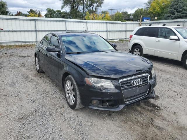 AUDI A4 PREMIUM 2010 wauffafl4an035013