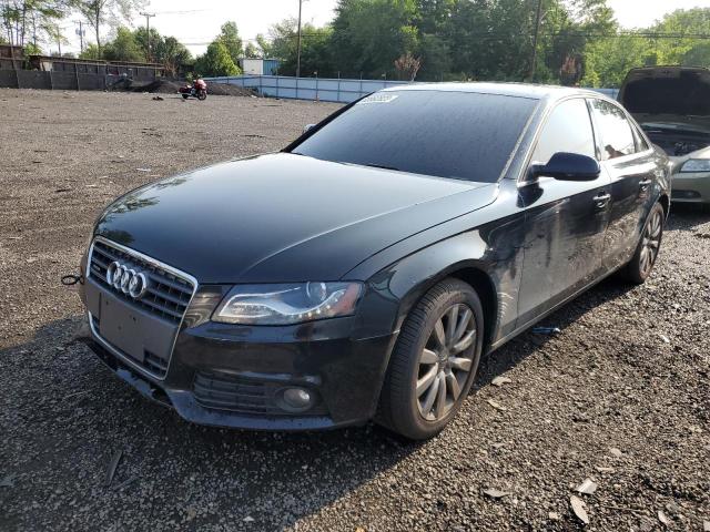 AUDI A4 2010 wauffafl4an035139