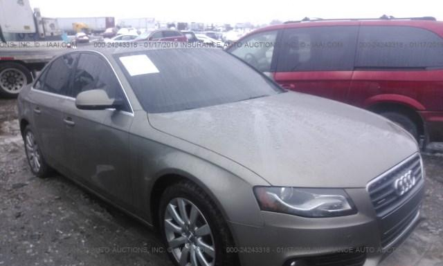 AUDI A4 2010 wauffafl4an035206