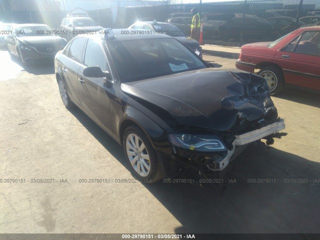 AUDI A4 2010 wauffafl4an035772