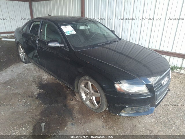 AUDI A4 2010 wauffafl4an045699