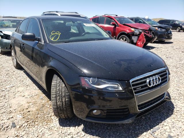 AUDI A4 PREMIUM 2010 wauffafl4an059926