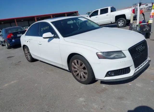 AUDI A4 2010 wauffafl4an064981