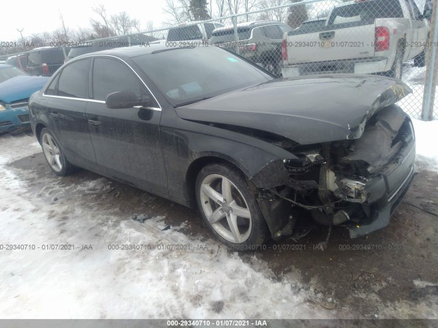 AUDI A4 2011 wauffafl4bn009559