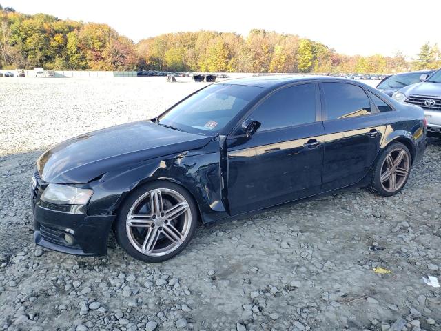 AUDI A4 PREMIUM 2011 wauffafl4bn022781