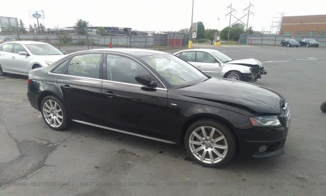 AUDI A4 2012 wauffafl4cn002497