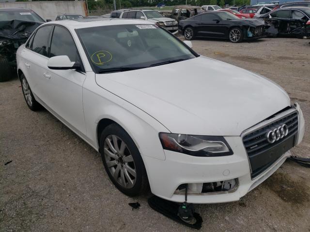 AUDI A4 PREMIUM 2010 wauffafl5an014848