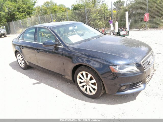 AUDI A4 PREMIUM 2010 wauffafl5an016034